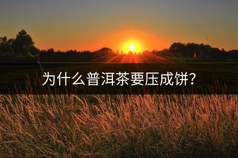為什么普洱茶要壓成餅？