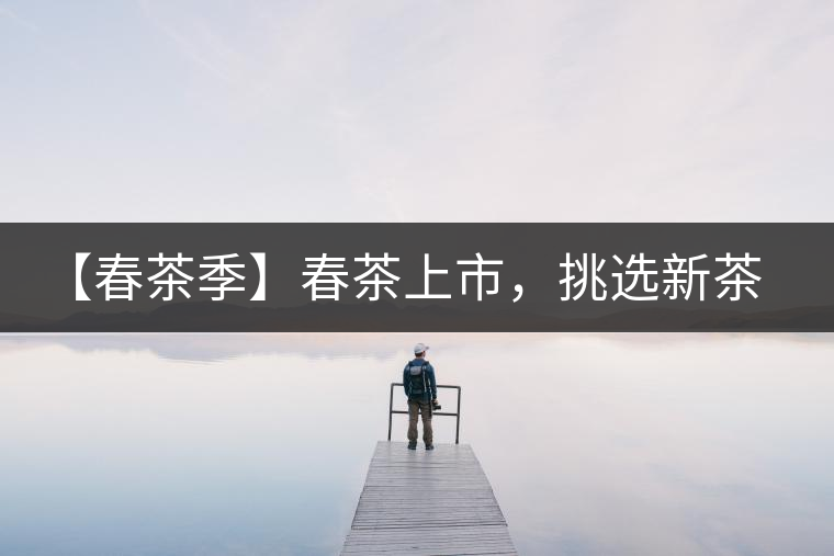 【春茶季】春茶上市，挑選新茶有講究