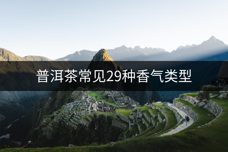普洱茶常見(jiàn)29種香氣類(lèi)型 普洱茶常見(jiàn)29種香氣類(lèi)型
