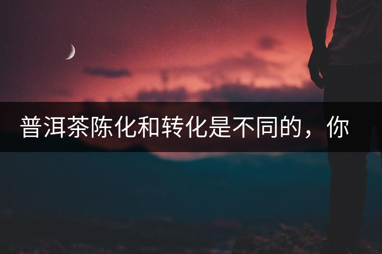 普洱茶陳化和轉(zhuǎn)化是不同的，你造嗎？