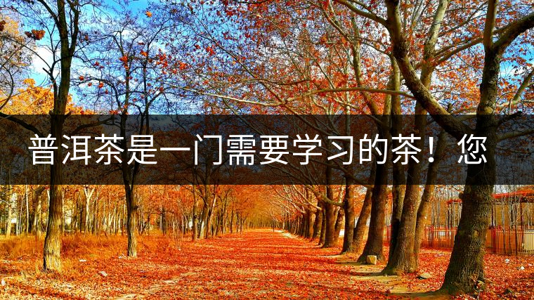 普洱茶是一門需要學(xué)習(xí)的茶！您學(xué)到了多少？看看專家怎么說