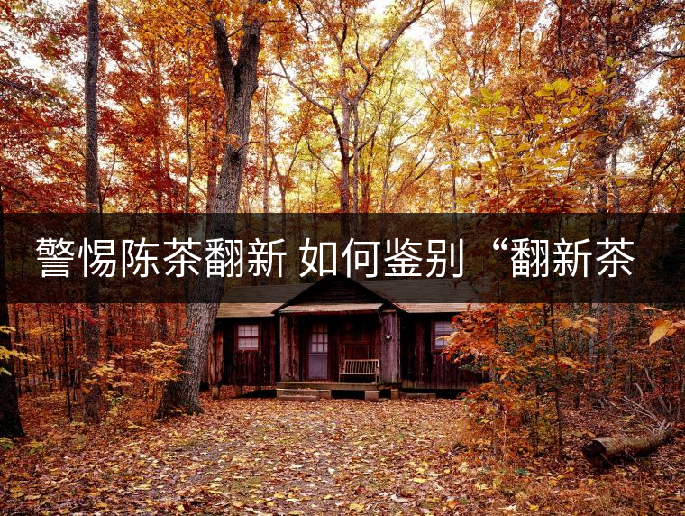 警惕陳茶翻新 如何鑒別“翻新茶”
