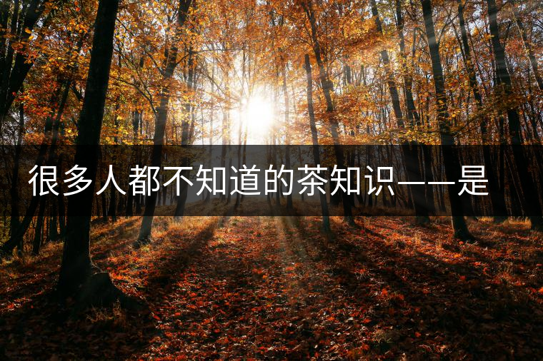 很多人都不知道的茶知識——是什么造就了普洱茶的一山一味？