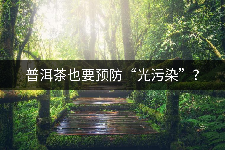 普洱茶也要預防“光污染”？