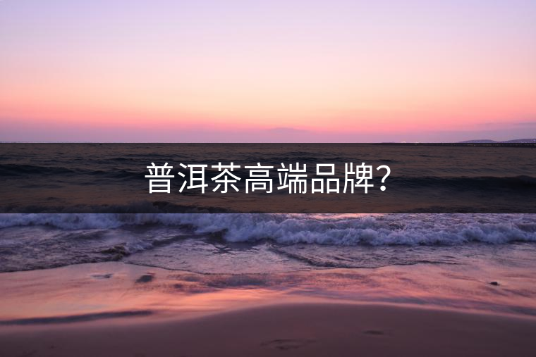 普洱茶高端品牌？