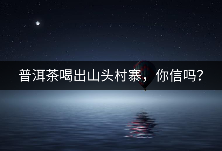 普洱茶喝出山頭村寨，你信嗎？