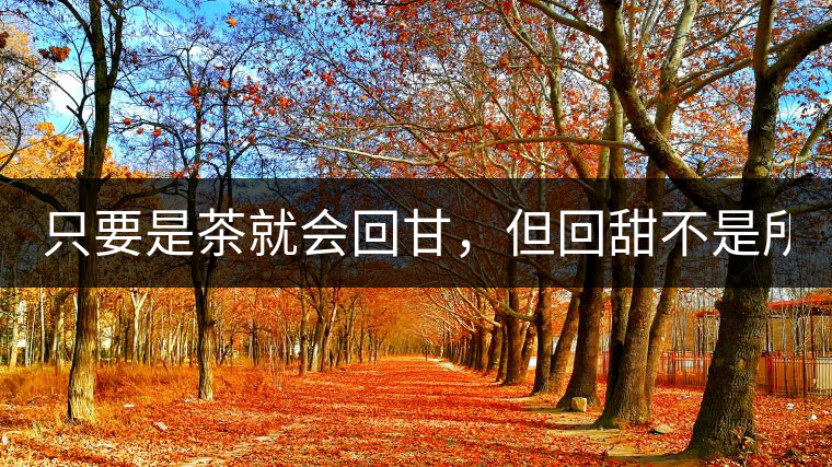 只要是茶就會回甘，但回甜不是所有茶都有！