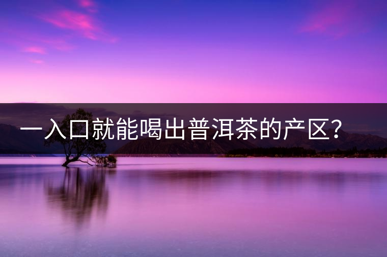 一入口就能喝出普洱茶的產(chǎn)區(qū)？怎么能不讀這篇文章呢？