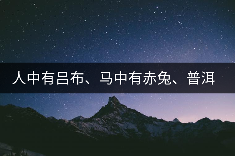 人中有呂布、馬中有赤兔、普洱中有茶化石：碎銀子！