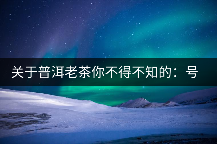 關(guān)于普洱老茶你不得不知的：號(hào)級(jí)茶、印級(jí)茶、七子餅茶