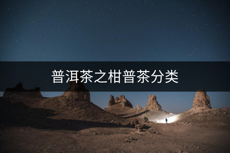 普洱茶之柑普茶分類