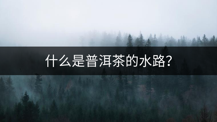 什么是普洱茶的水路？