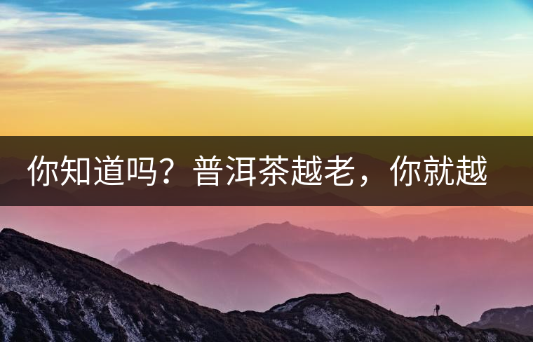 你知道嗎？普洱茶越老，你就越年輕