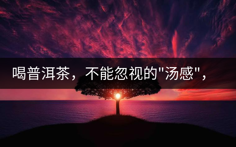 喝普洱茶，不能忽視的