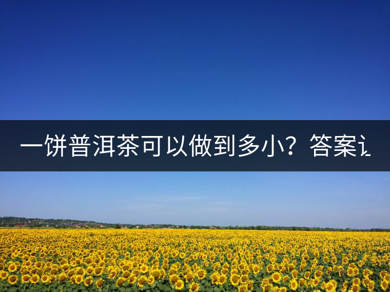 一餅普洱茶可以做到多??？答案讓人意想不到...