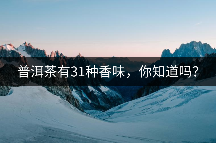 普洱茶有31種香味，你知道嗎？