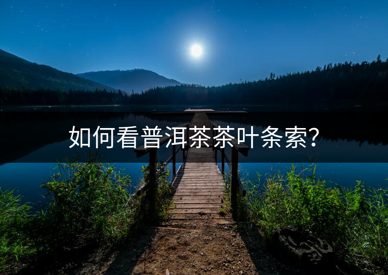 如何看普洱茶茶葉條索？