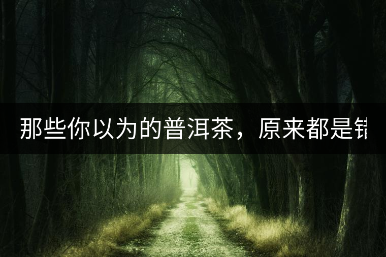 那些你以為的普洱茶，原來都是錯的！