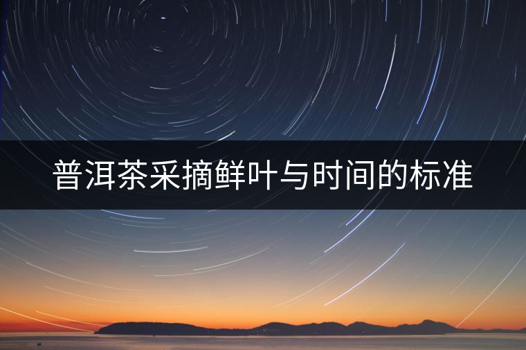 普洱茶采摘鮮葉與時(shí)間的標(biāo)準(zhǔn)