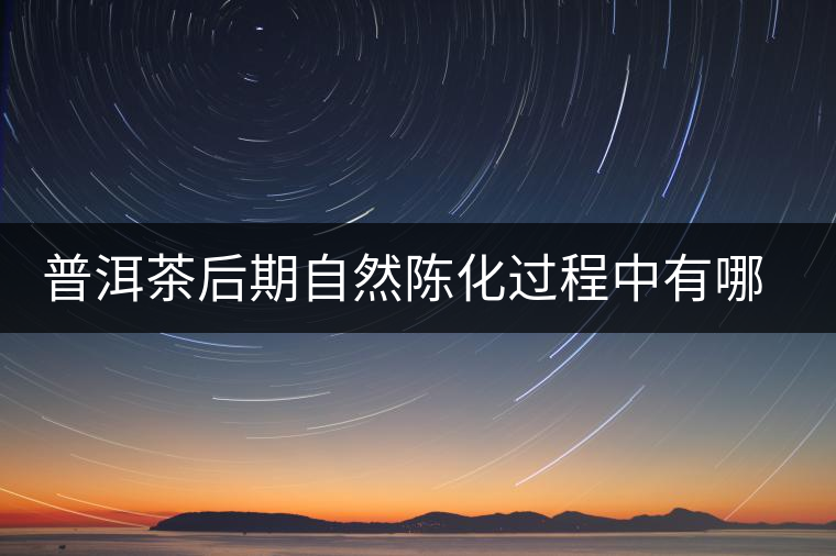 普洱茶后期自然陳化過程中有哪些變化？