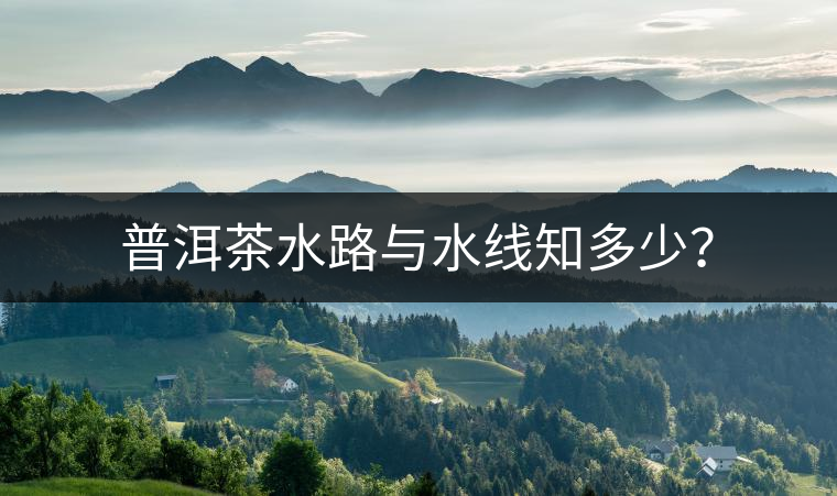 普洱茶水路與水線知多少？