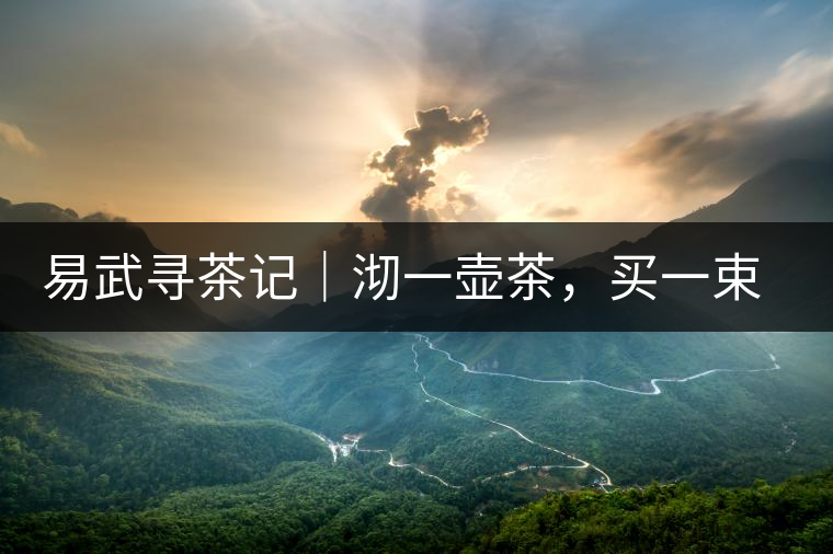 易武尋茶記｜沏一壺茶，買(mǎi)一束花，享半日余暇