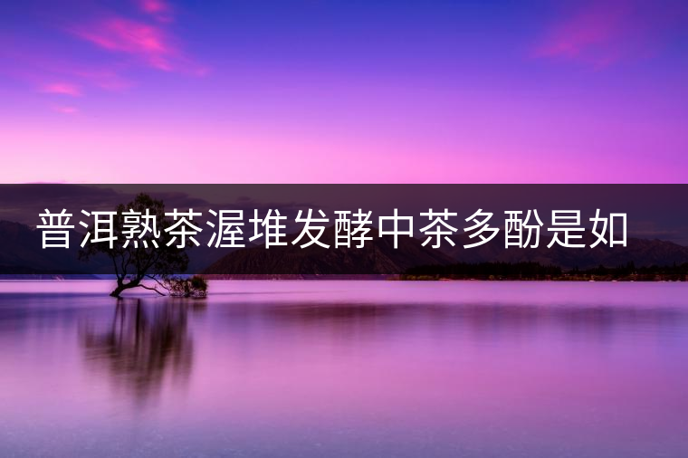 普洱熟茶渥堆發(fā)酵中茶多酚是如何轉(zhuǎn)化的？