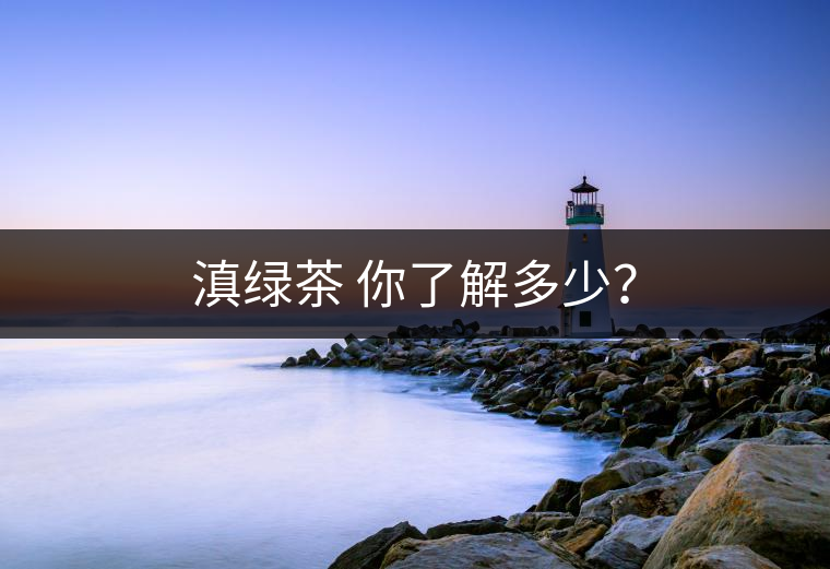 滇綠茶 你了解多少？