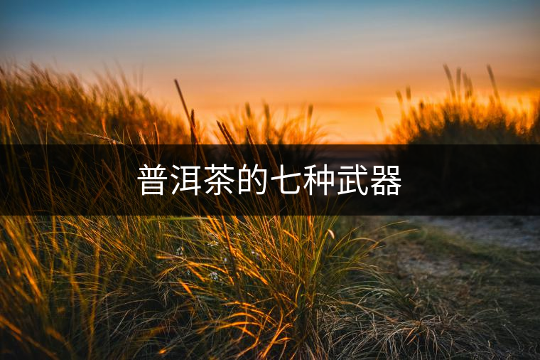 普洱茶的七種武器