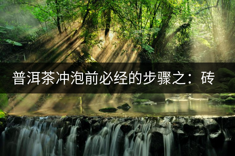 普洱茶沖泡前必經(jīng)的步驟之：磚茶如何撬？