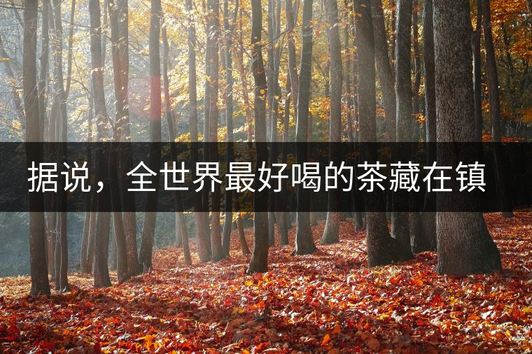 據(jù)說，全世界最好喝的茶藏在鎮(zhèn)沅