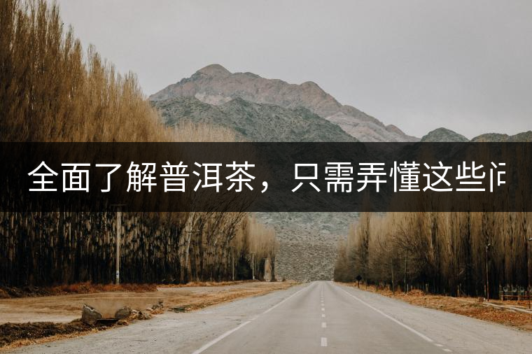 全面了解普洱茶，只需弄懂這些問題！