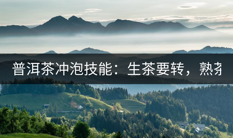 普洱茶沖泡技能：生茶要轉(zhuǎn)，熟茶要柔！