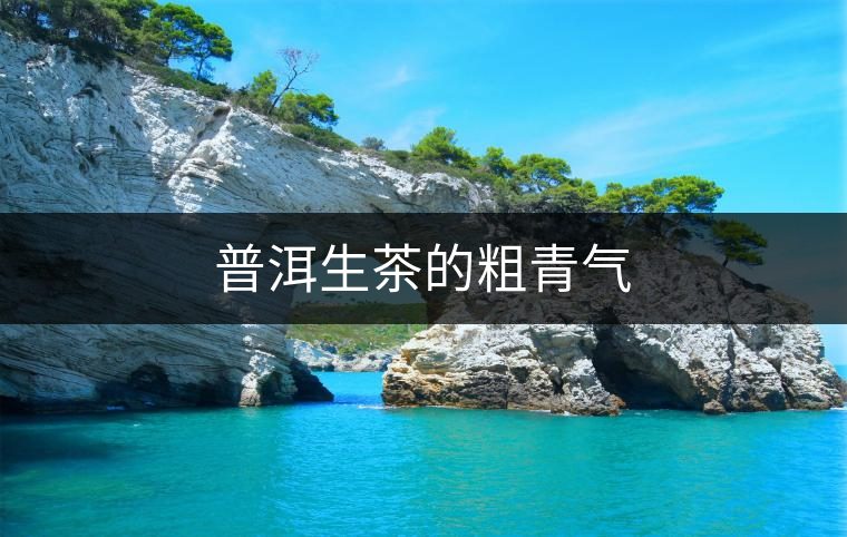 普洱生茶的粗青氣