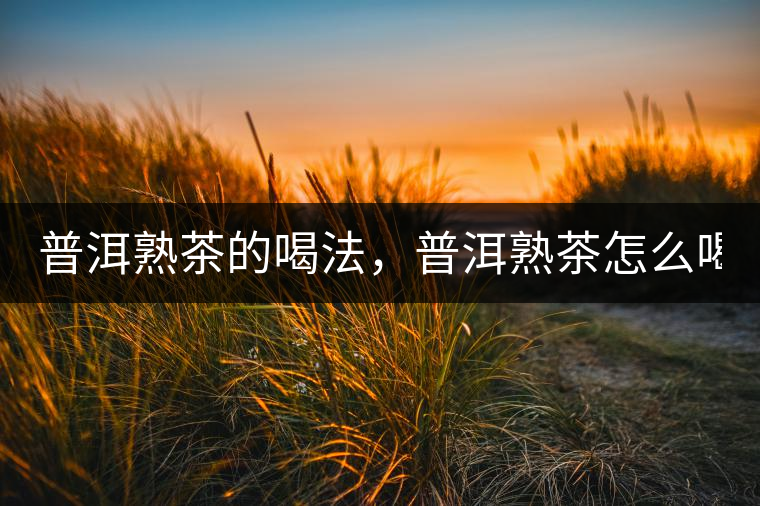 普洱熟茶的喝法，普洱熟茶怎么喝？