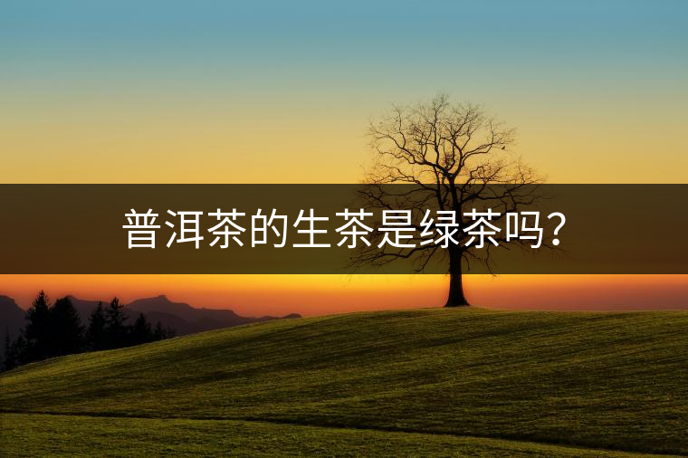 普洱茶的生茶是綠茶嗎？