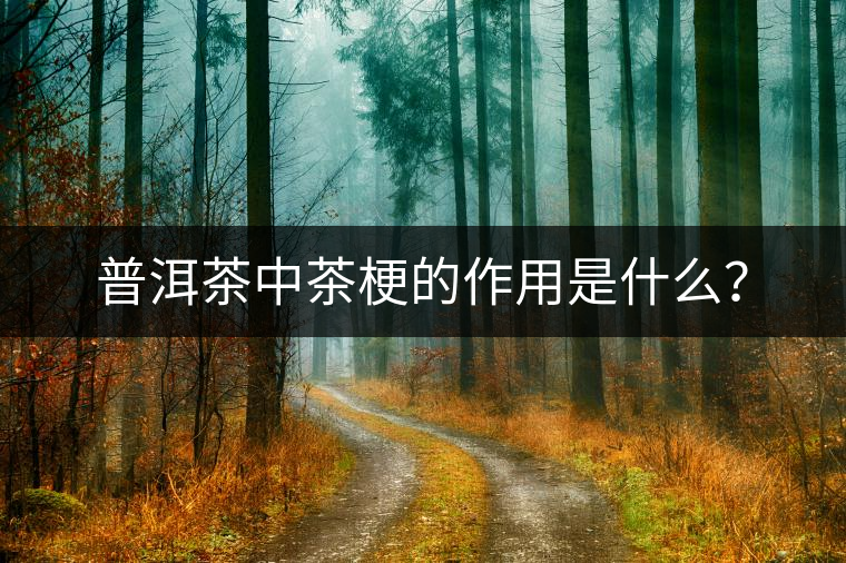普洱茶中茶梗的作用是什么？