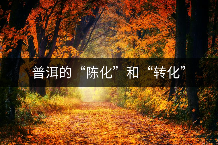 普洱的“陳化”和“轉(zhuǎn)化” 普洱的“陳化”和“轉(zhuǎn)化”