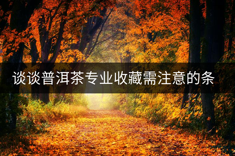 談談普洱茶專業(yè)收藏需注意的條件