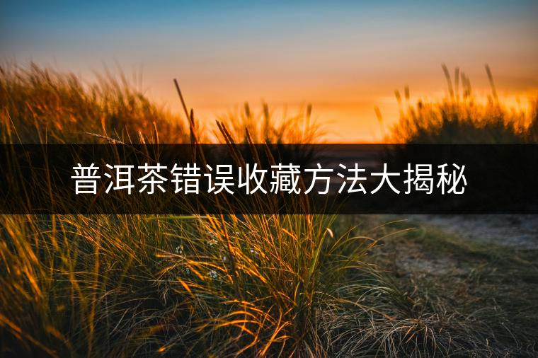 普洱茶錯誤收藏方法大揭秘