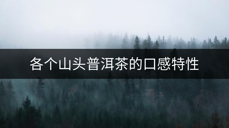 各個(gè)山頭普洱茶的口感特性 各個(gè)山頭普洱茶的口感特性