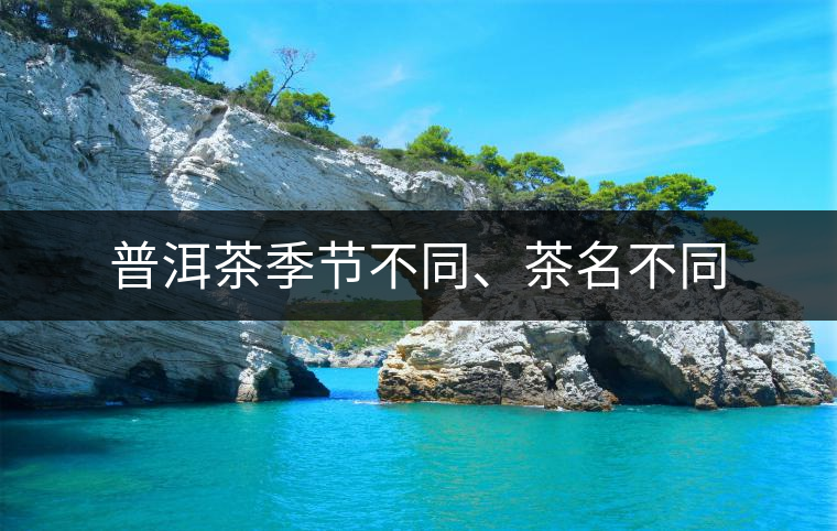普洱茶季節(jié)不同、茶名不同