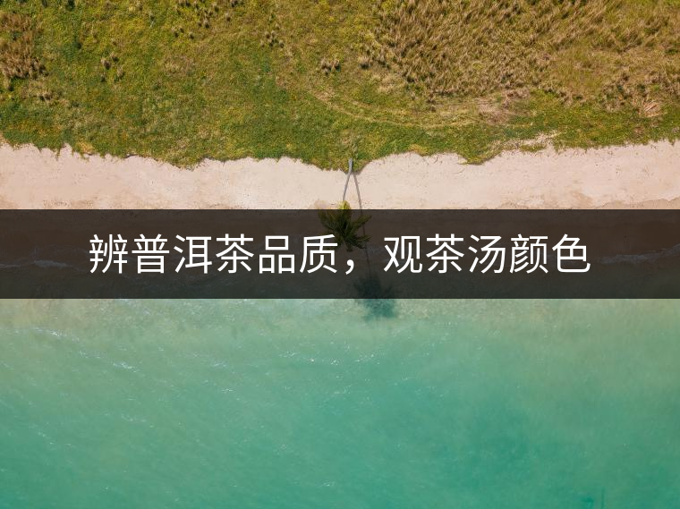 辨普洱茶品質(zhì)，觀茶湯顏色