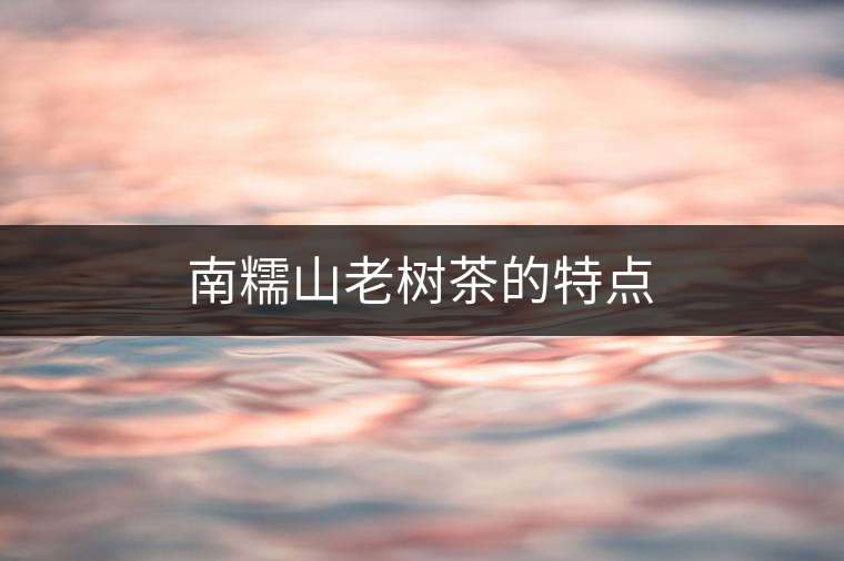 南糯山老樹(shù)茶的特點(diǎn)