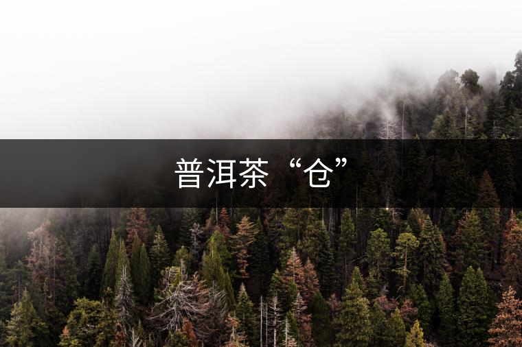 普洱茶“倉(cāng)” 普洱茶“倉(cāng)”