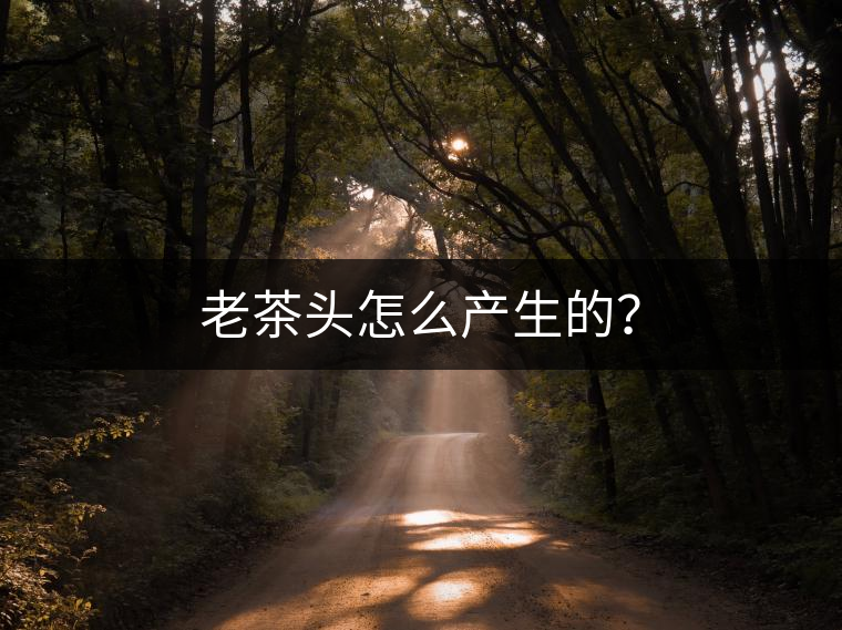 老茶頭怎么產(chǎn)生的？