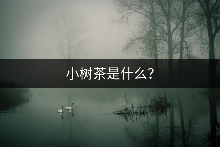 小樹茶是什么？
