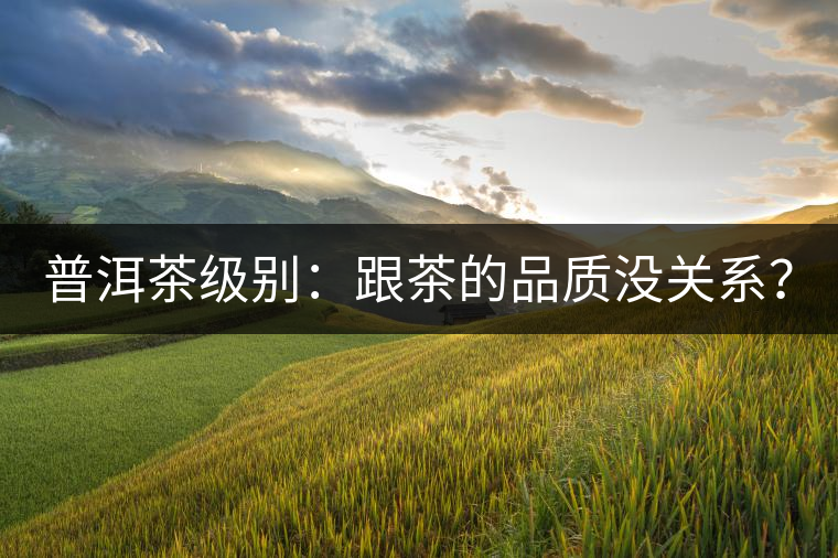 普洱茶級(jí)別：跟茶的品質(zhì)沒關(guān)系？