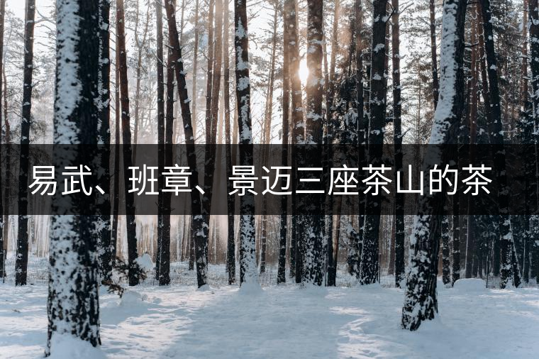 易武、班章、景邁三座茶山的茶比較
