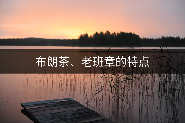 布朗茶、老班章的特點(diǎn)